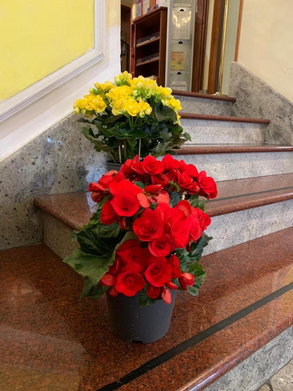 Stromboli Hotel
